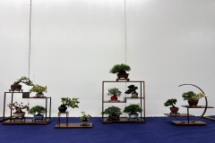 棚飾り盆栽 tanakazari bonsai