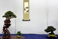 棚飾り盆栽 tanakazari bonsai